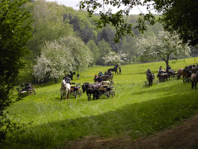 Fruehjahrskutschentreffen_Oberkleen_2006_157