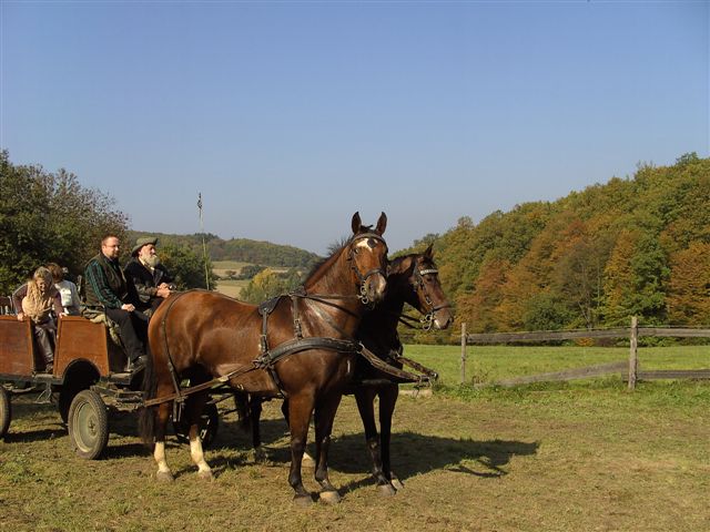 BILD2540