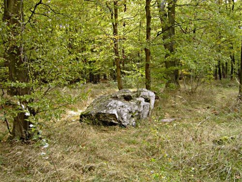 Felsbrocken_im_Wald